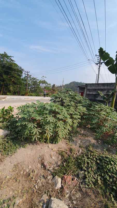 tanah murah bandar lampung teluk betung timur