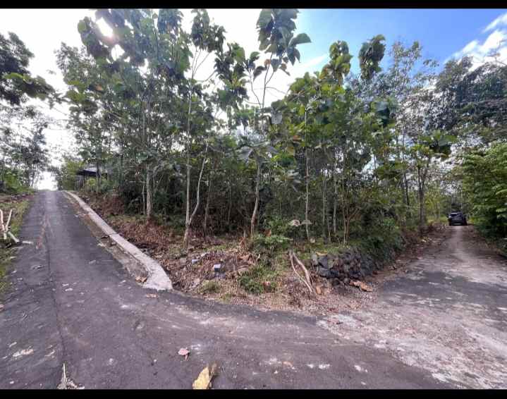 tanah murah dua arah menghadap