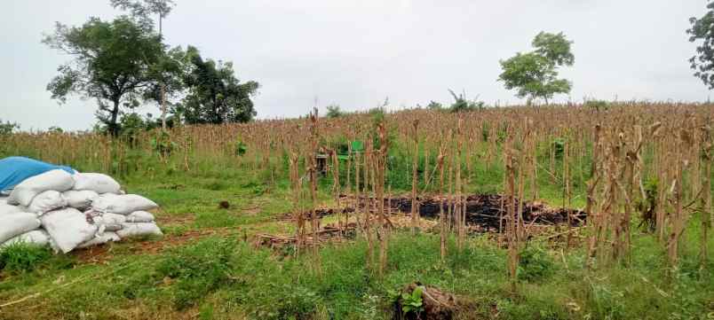 tanah pedesaan untuk hunian dan usaha