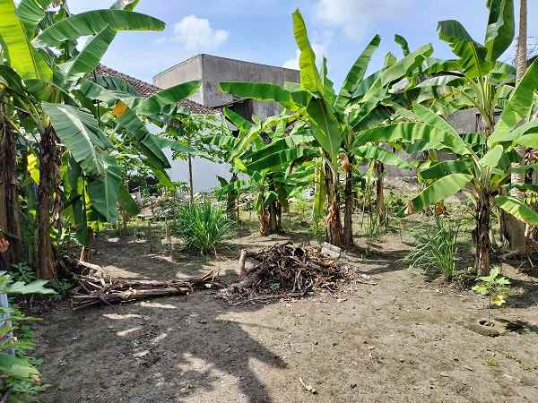 tanah pekarangan dalam perum gambiran yogyakarta