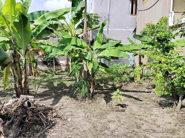 tanah pekarangan dalam perum gambiran yogyakarta
