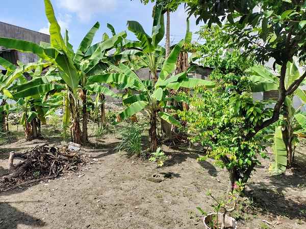 tanah pekarangan dalam perum gambiran yogyakarta