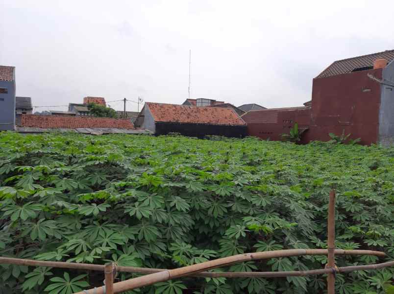tanah pinggir jalan 800 meter di cibinong bogor