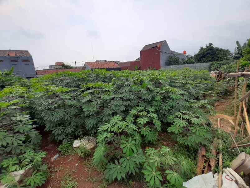 tanah pinggir jalan 800 meter di cibinong bogor