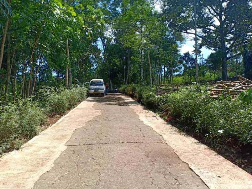 tanah plangsalam mojogedang