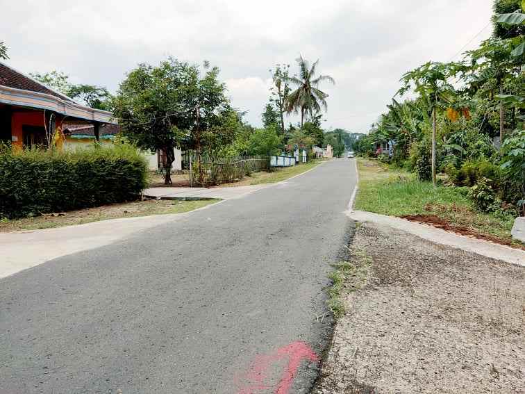 tanah plangsalam mojogedang