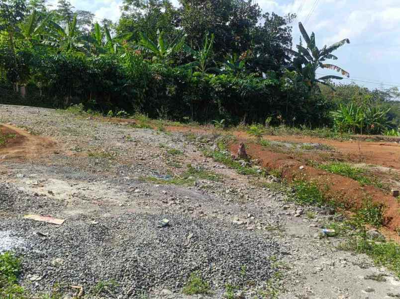 tanah shm ready dekat bca bsb di semarang