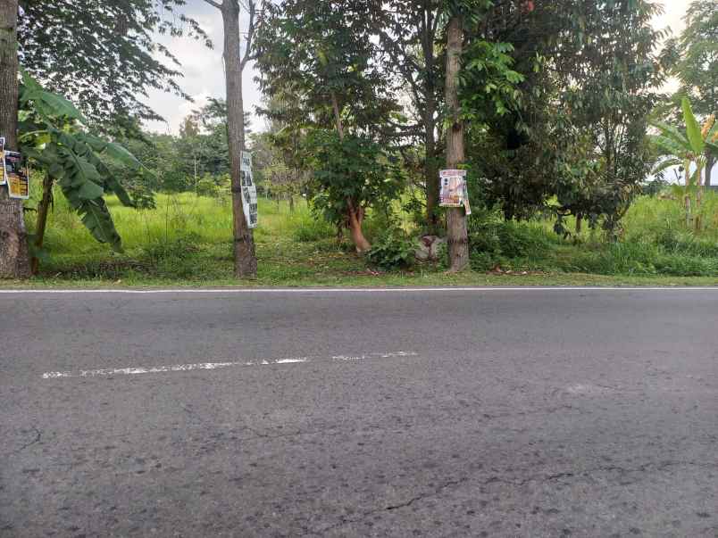 tanah strategis view gunung kopeng sumogawe