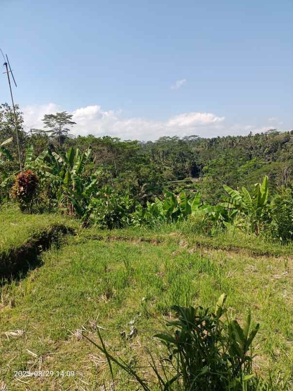 tanah view jungle dekat samsara resort ubud bali
