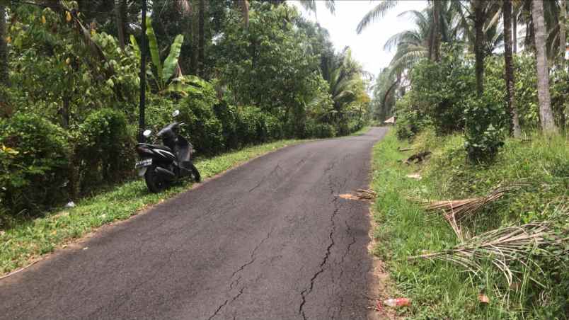 tanah view sawah di selemadeg tabanan bali