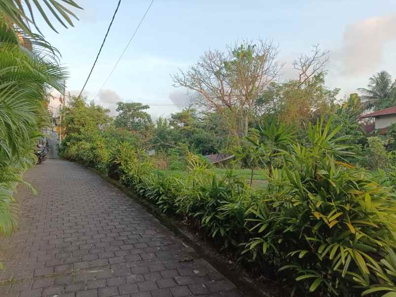tanah zona pink di jalan utama pantai pererenan bali