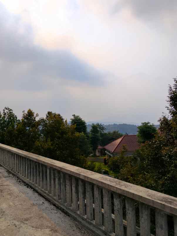 villa dan kebun durian
