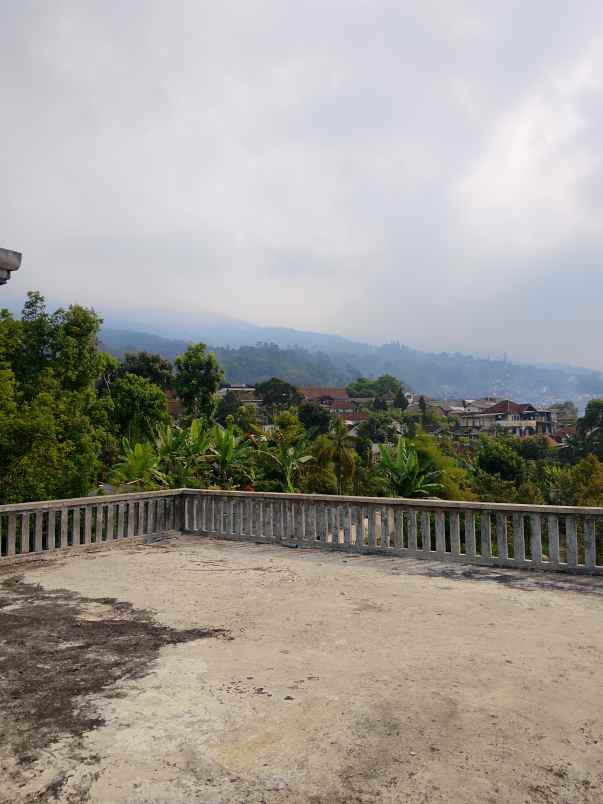 villa dan kebun durian