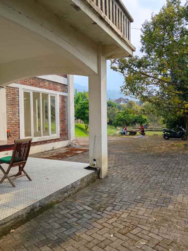 villa dan kebun durian