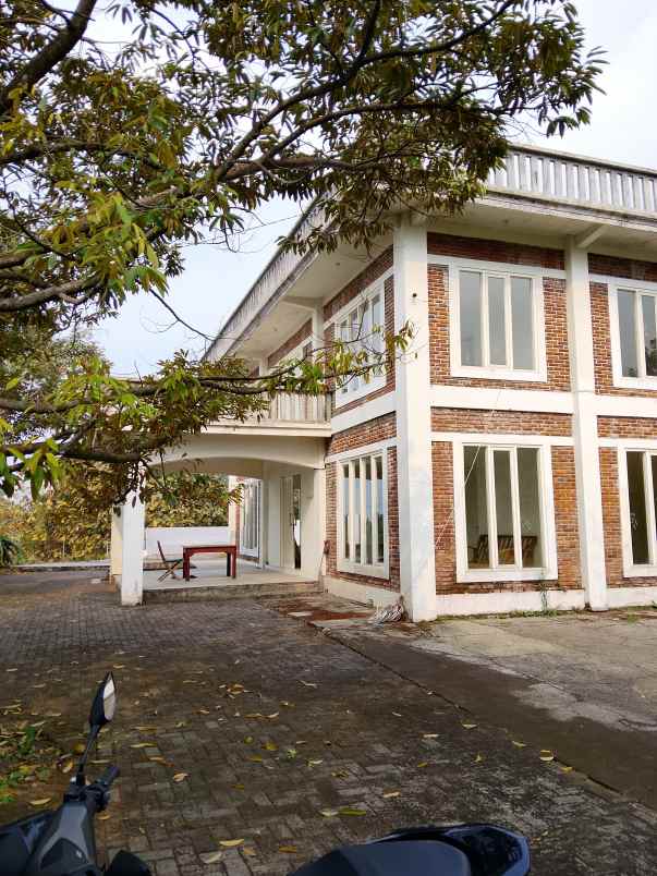 villa dan kebun durian