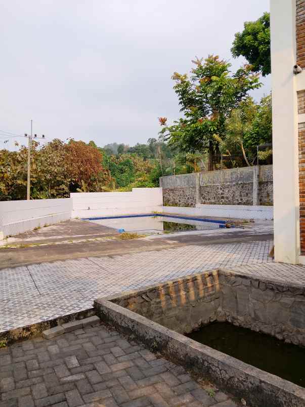 villa dan kebun durian