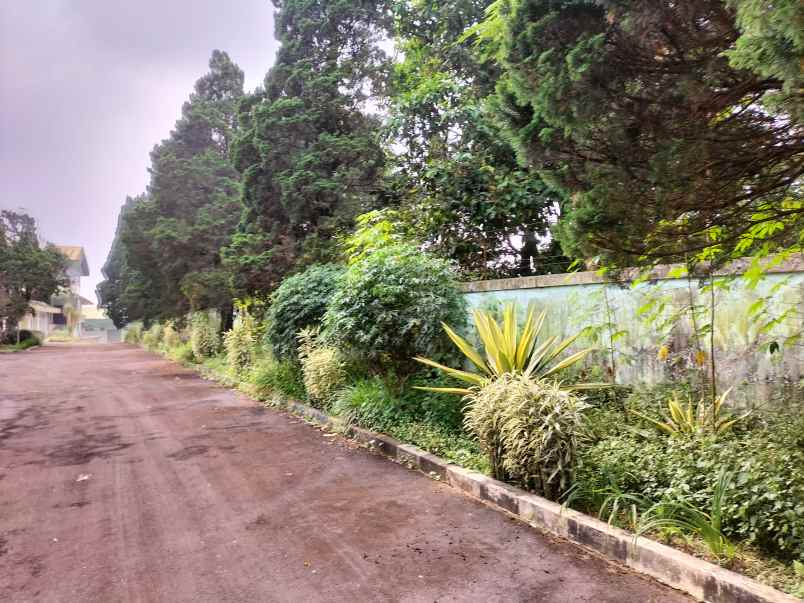 bangunan bekas pabrik dan gudang di gadog cianjur