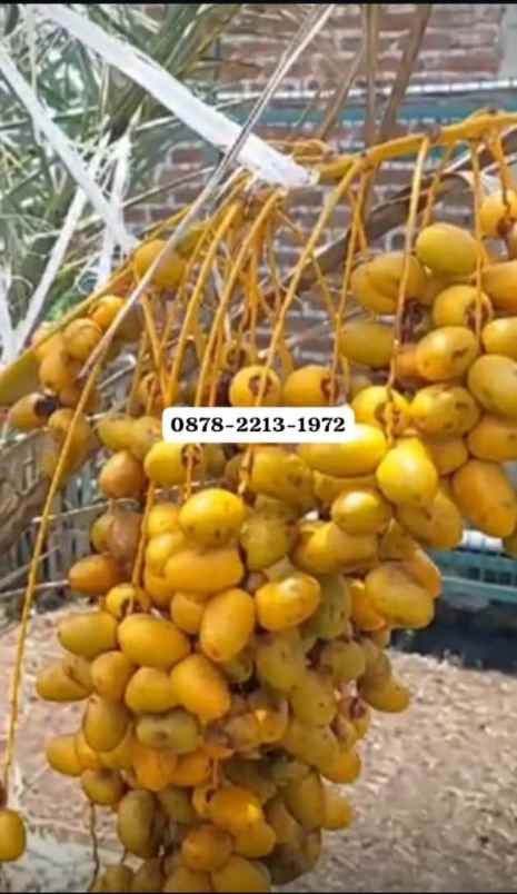 dijual rumah banjaran bandung