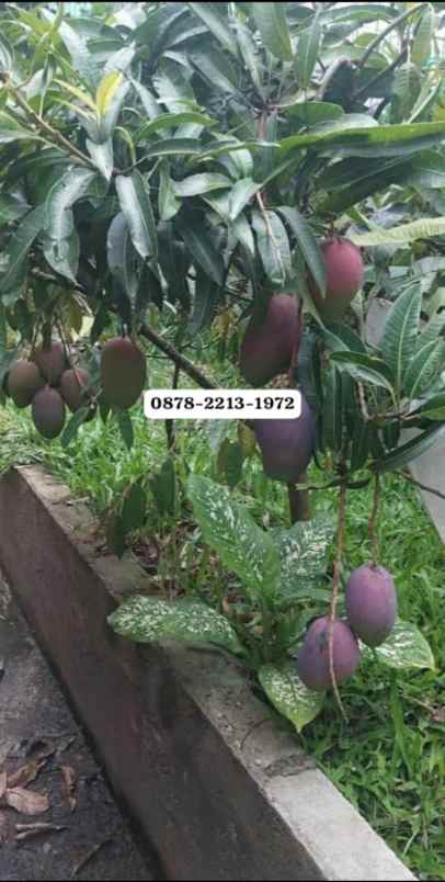 dijual rumah banjaran bandung