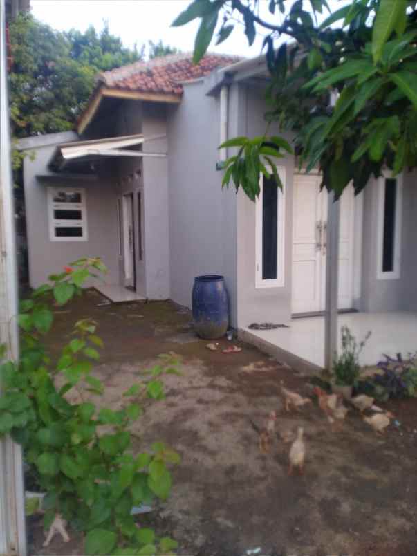 dijual rumah dijual rumah di kampung