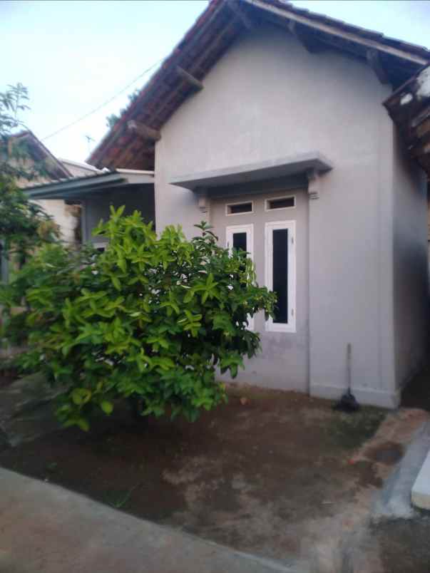 dijual rumah dijual rumah di kampung