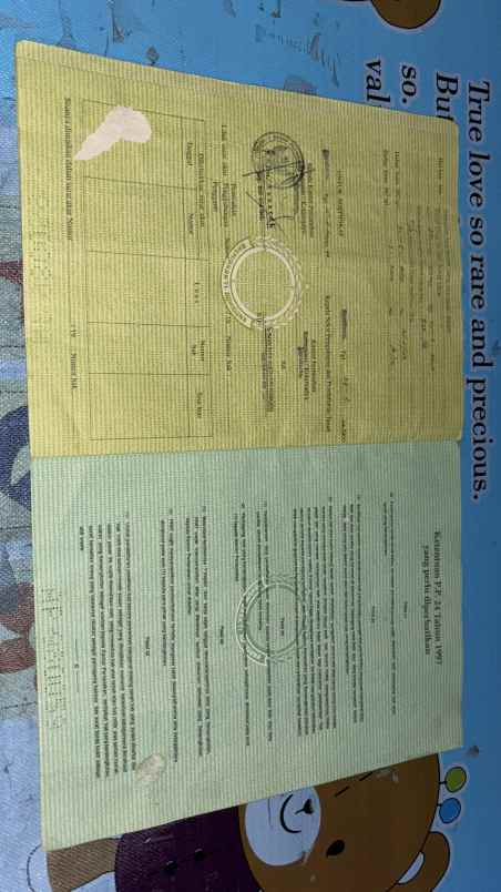 dijual rumah dijual rumah kontrakan di