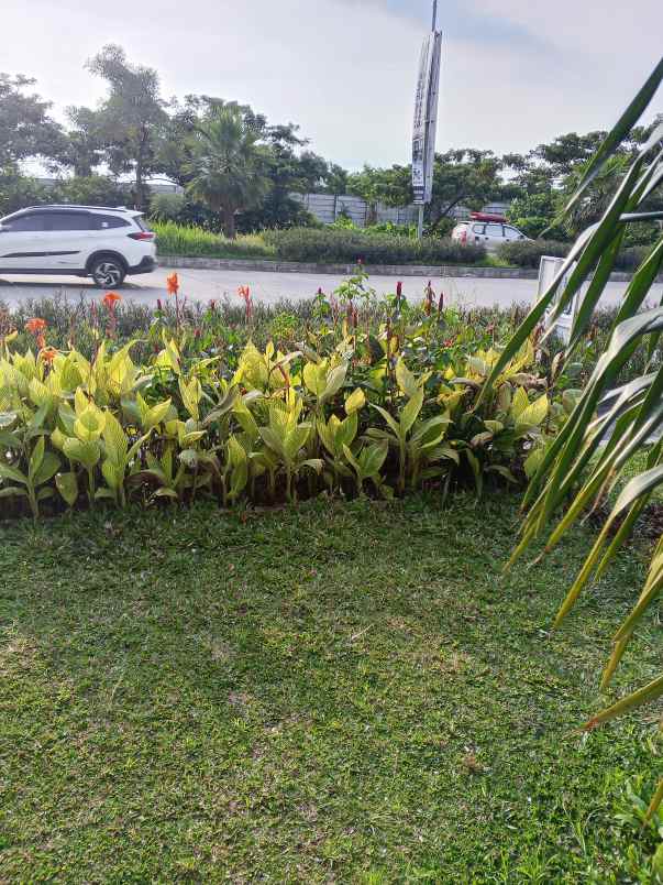 dijual rumah jalan boulavard cikarang