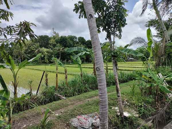 dijual rumah jl sribitan bangunjiwo