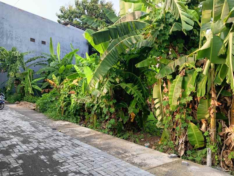 dijual tanah bulusan tembalang