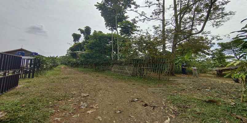 dijual tanah bunihayu