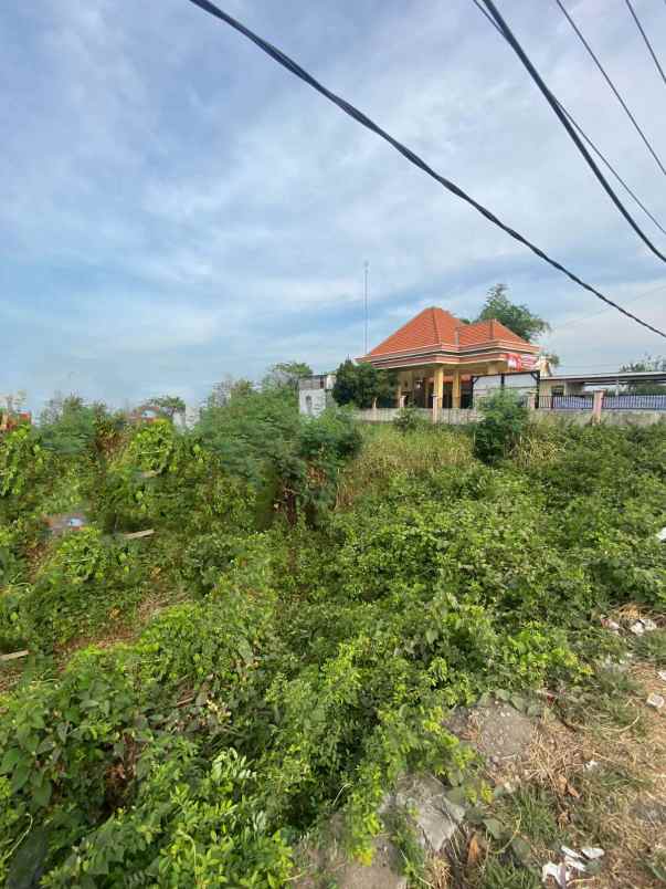 dijual tanah cerme gresik