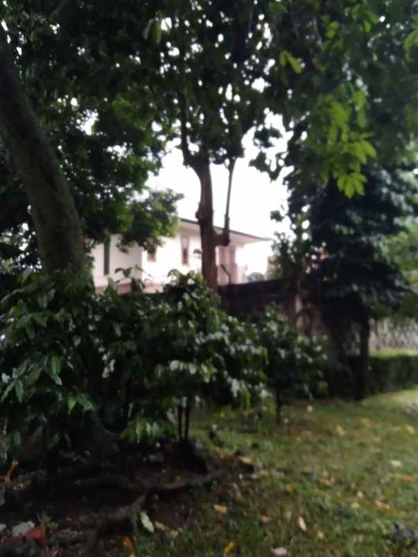 dijual tanah ciganjur jagakarsa jakarta