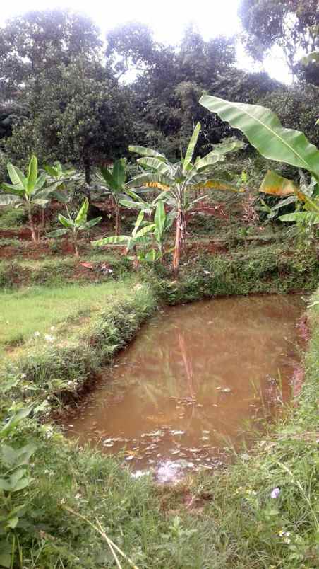 dijual tanah cigending