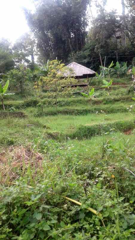 dijual tanah cigending