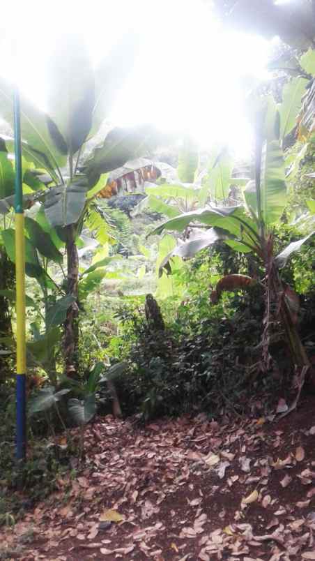 dijual tanah cigending