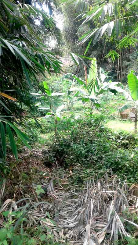 dijual tanah cigending