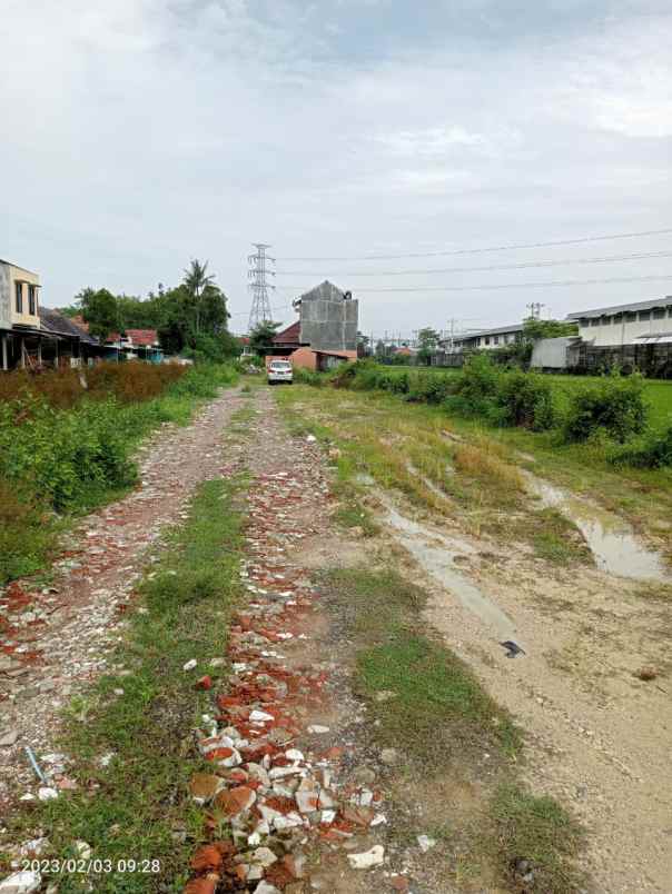 dijual tanah desa bangun harjo kec