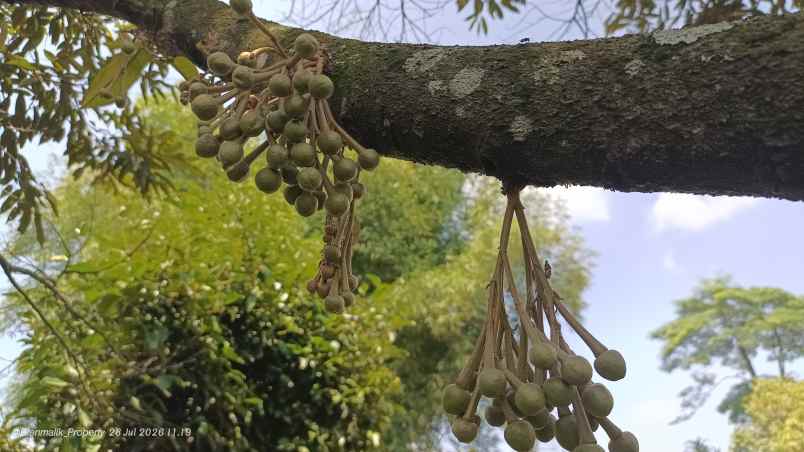 dijual tanah desa ciracas kecamatan