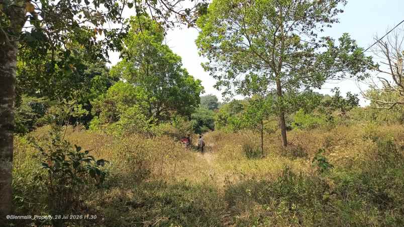 dijual tanah desa ciracas kecamatan