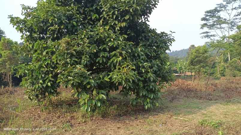 dijual tanah desa ciracas kecamatan