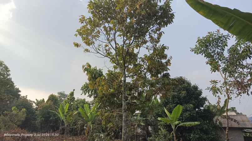 dijual tanah desa ciracas kecamatan