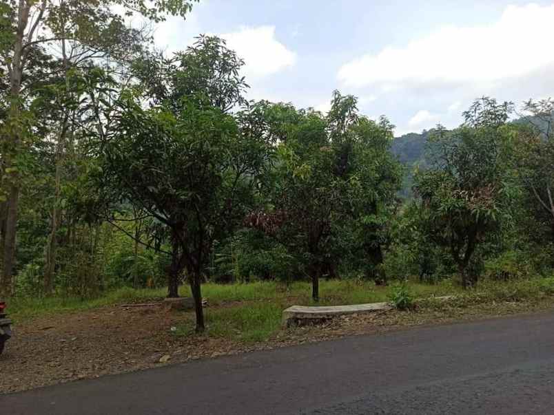 dijual tanah dijual tanah di blok