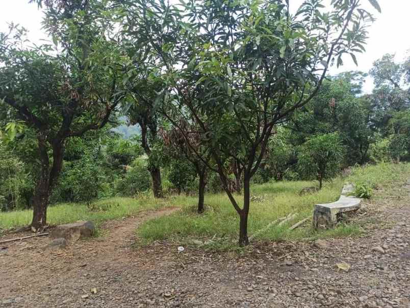 dijual tanah dijual tanah di blok