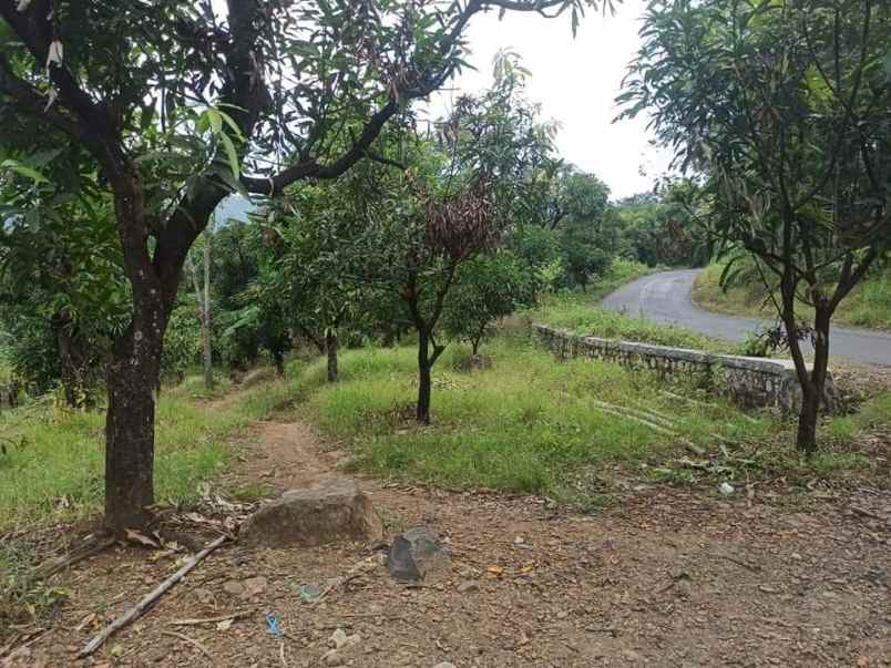 dijual tanah dijual tanah di blok
