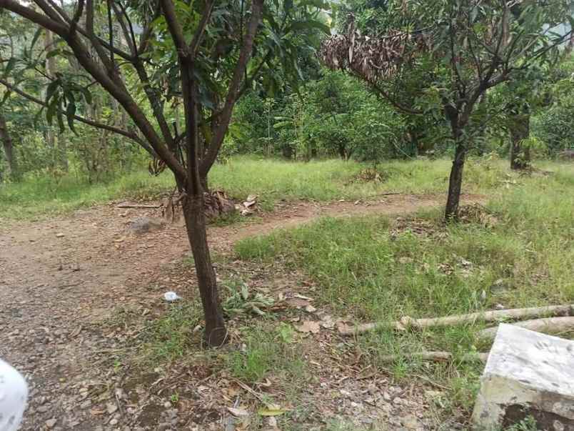 dijual tanah dijual tanah di blok