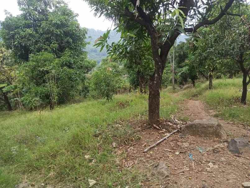 dijual tanah dijual tanah di blok