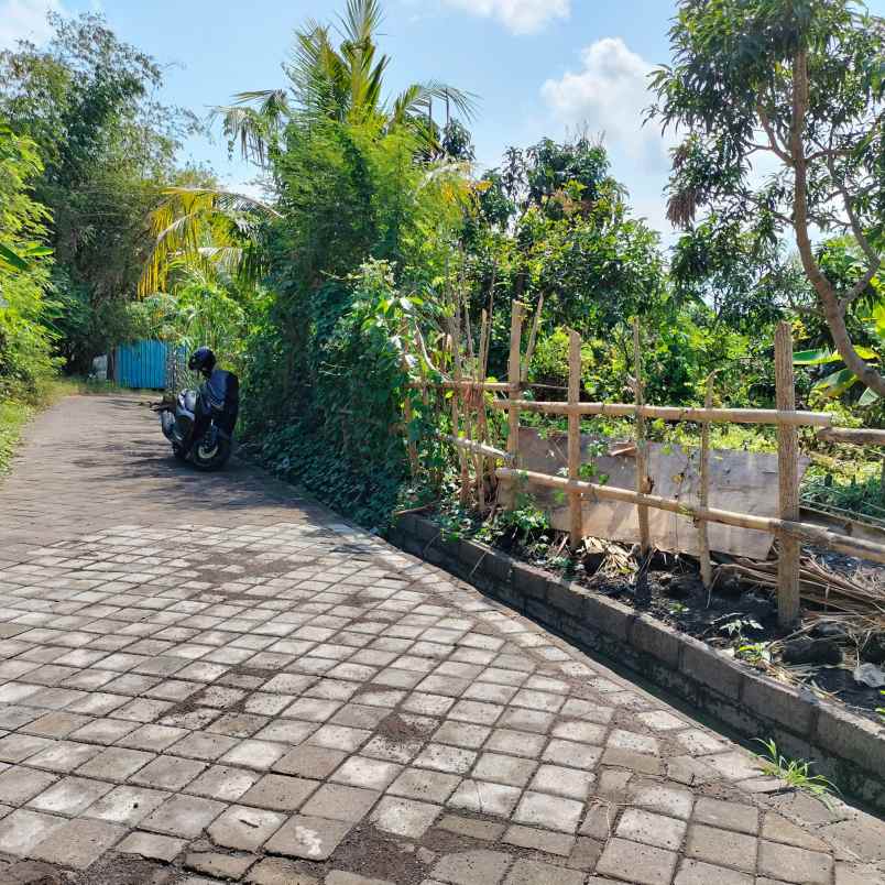 dijual tanah gadon