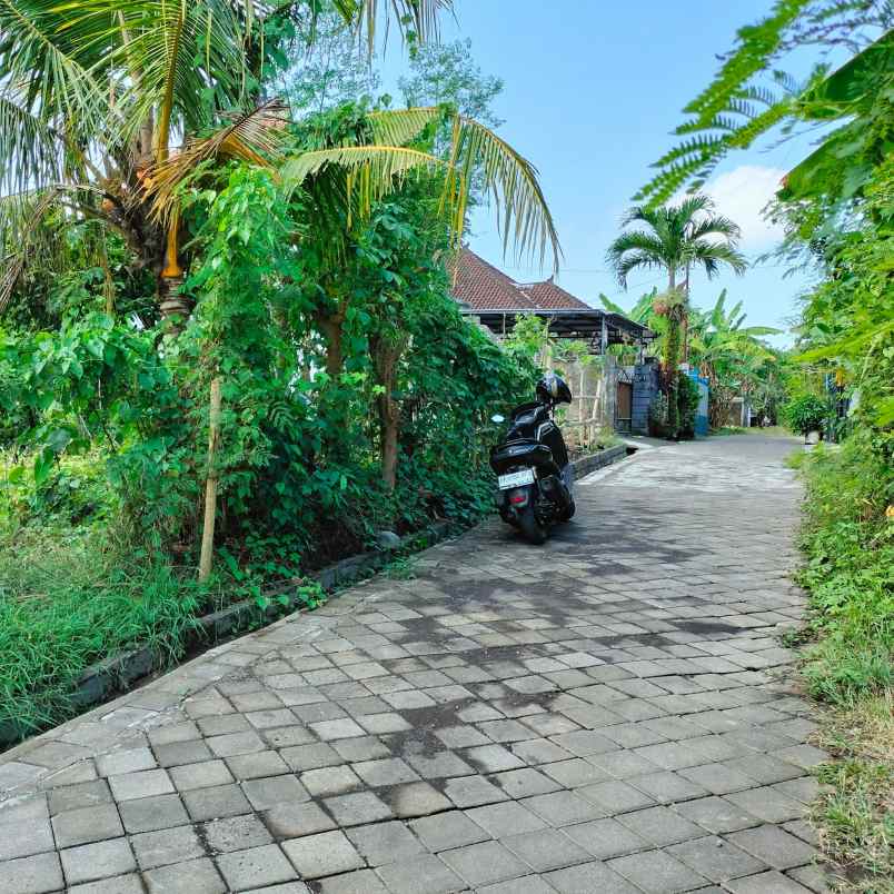 dijual tanah gadon