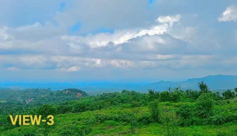 dijual tanah jl bukum sikeben bandar