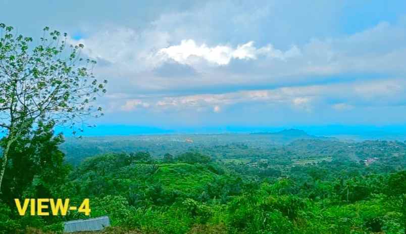 dijual tanah jl bukum sikeben bandar